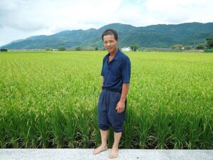 農家：2009十大經典好米得主を受賞した鍾錦海先生「生長はとてもいい」