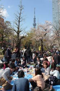 お花見会場は天気に恵まれ、スカイツリーのてっぺんまではっきり見ることができた。