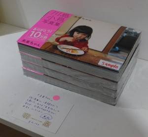 小鳥さんの前作「未来ちゃん」(２０１１年)