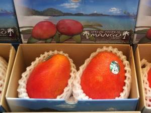 台湾マンゴーの主要生産品種・愛文（アーウィン）