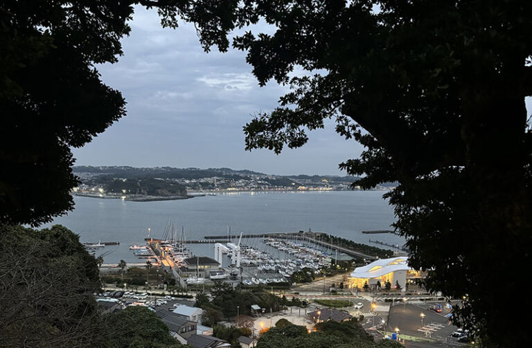 【地區幸福指數排行榜】- 神奈川縣 三浦郡葉山町雙榜冠軍